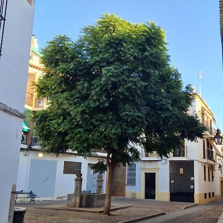Terraza De La Axerquia Appartement Córdoba Buitenkant foto